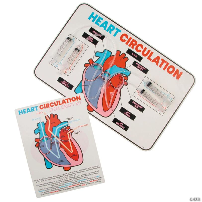 17" x 11" STEM Heart Circulation Activity Learning Challenge Craft Kit - Makes 12
