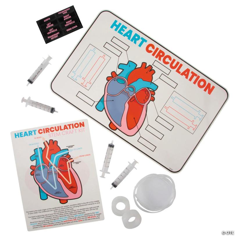 17" x 11" STEM Heart Circulation Activity Learning Challenge Craft Kit - Makes 12