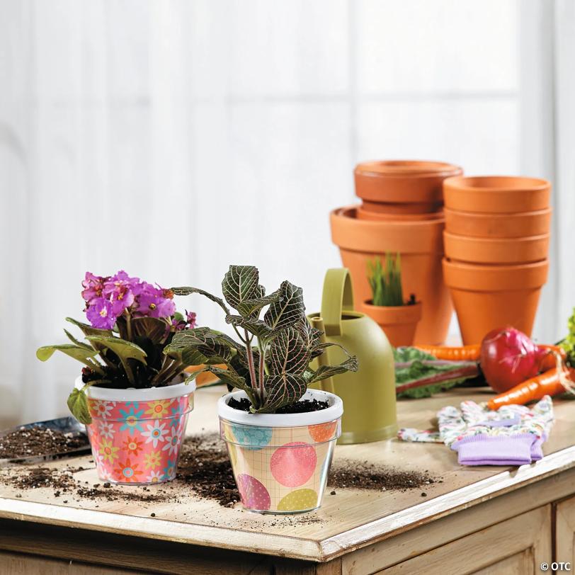3 3/4" Bulk 48 Pc. DIY Design Your Own Plastic Flower Pot Crafts