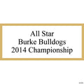 4 3/4" Personalized Plastic Gold Star Award Trophies - 12 Pc.