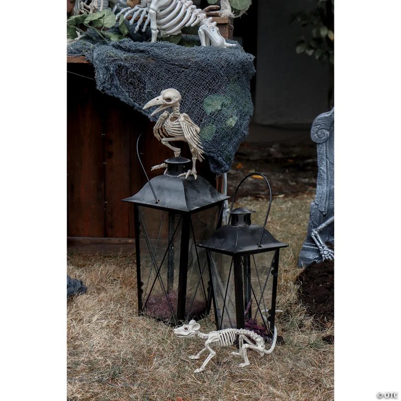 6" - 12" Bag of Human Bones Plastic Halloween Decoration - 28 Pc.