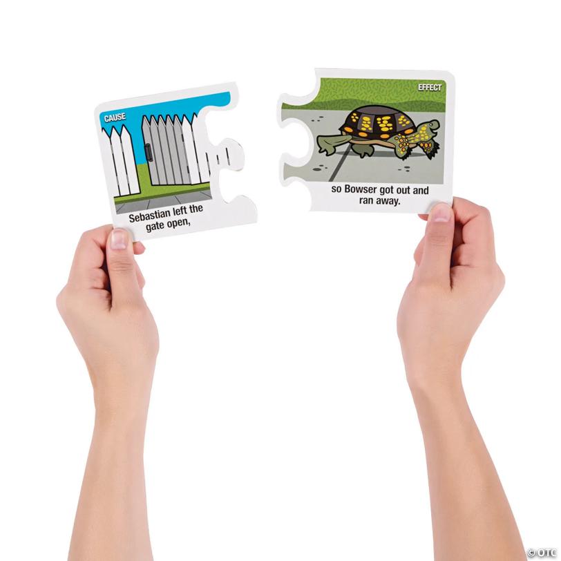 8" x 4" Cause & Effect Cardboard Self-Checking Puzzles - Set of 25