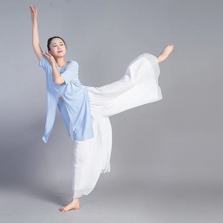 Women Dancing Pant For Women Classical Dance Modern Dance Chinese Folk Dance Practice Loose Pant Long Chiffon Wide Leg Pants