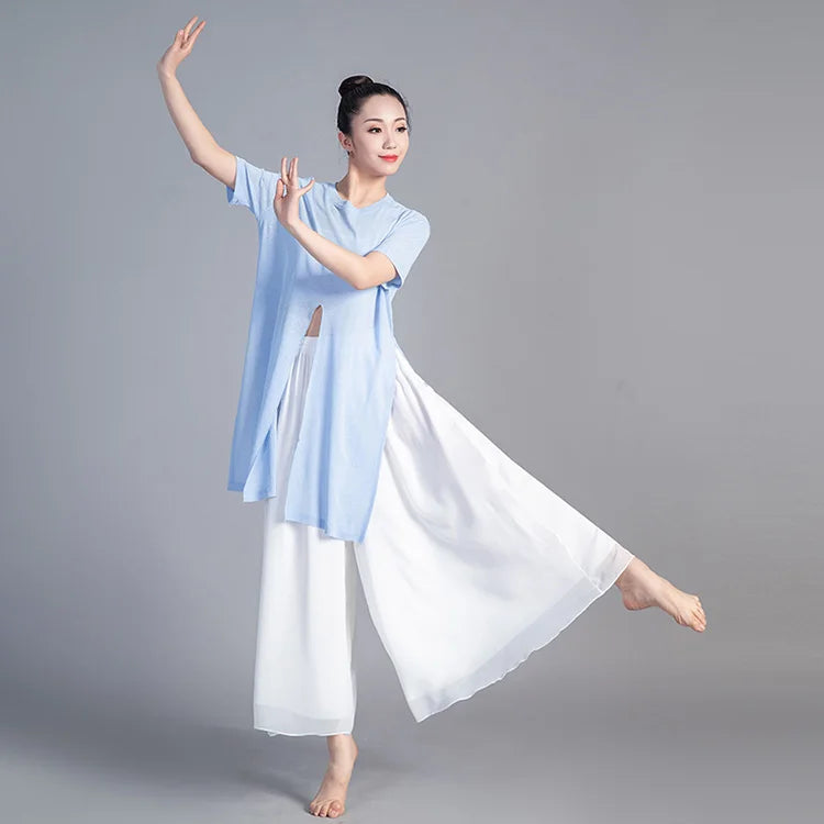 Women Dancing Pant For Women Classical Dance Modern Dance Chinese Folk Dance Practice Loose Pant Long Chiffon Wide Leg Pants