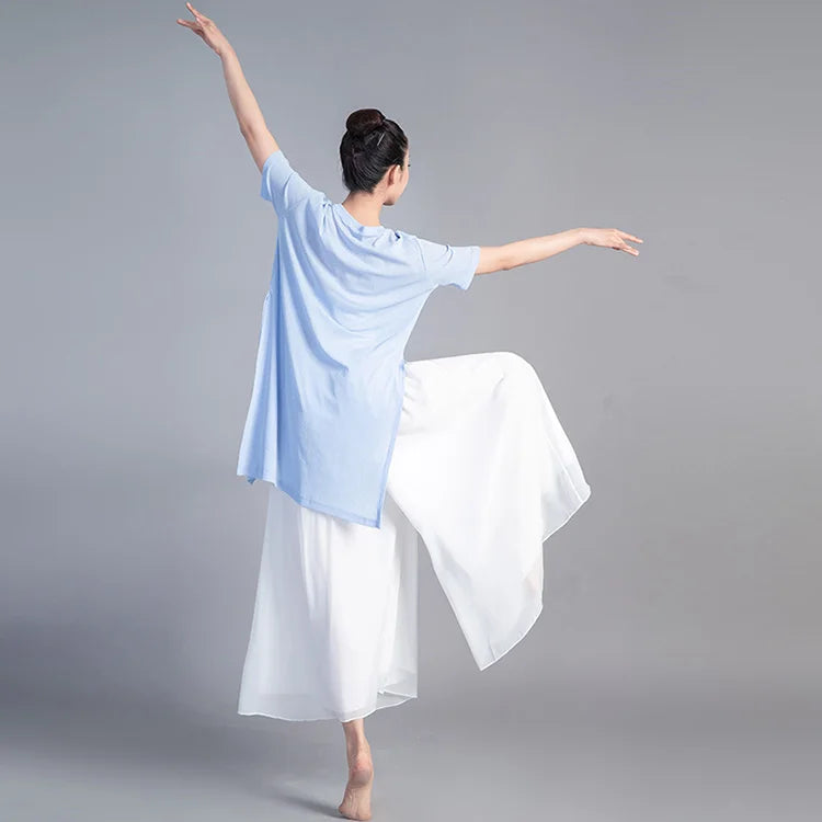Women Dancing Pant For Women Classical Dance Modern Dance Chinese Folk Dance Practice Loose Pant Long Chiffon Wide Leg Pants