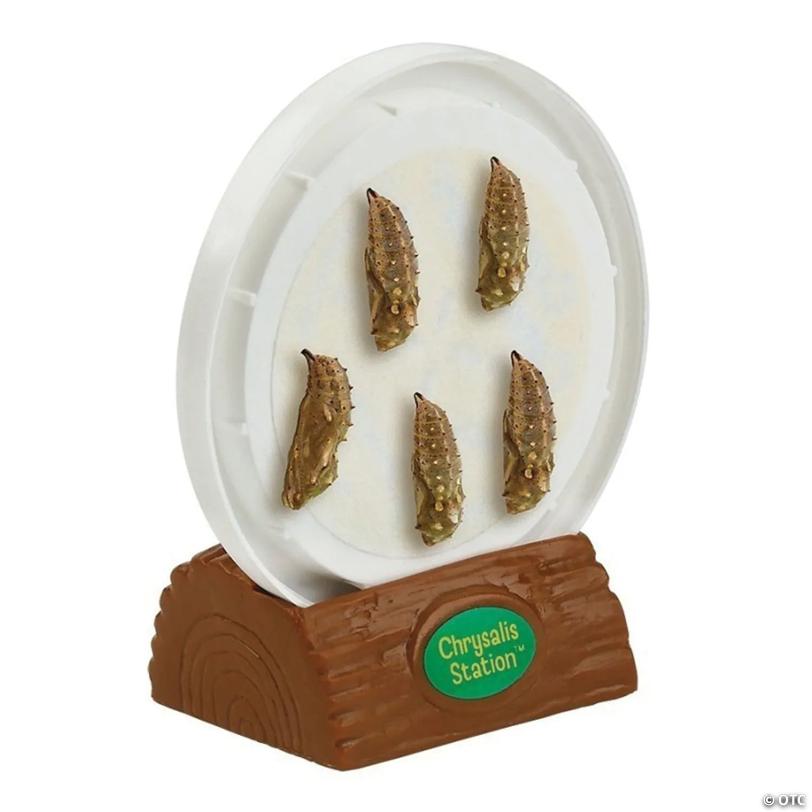 Insect Lore Butterfly Garden® Growing Kit