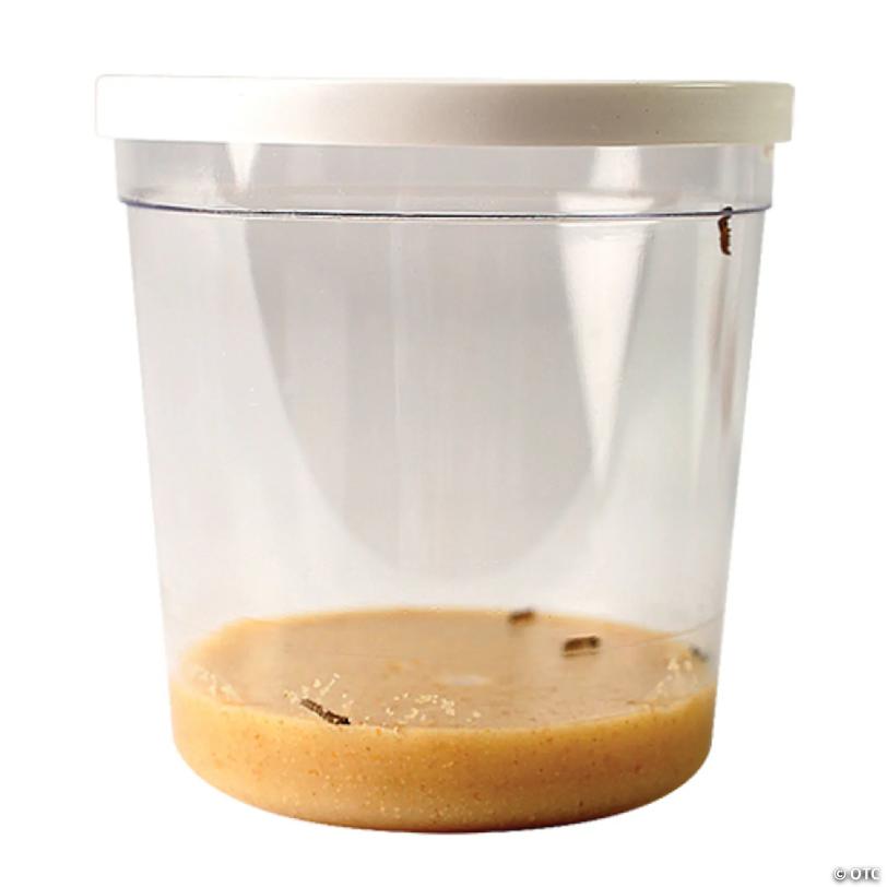 Insect Lore Butterfly Garden® Growing Kit
