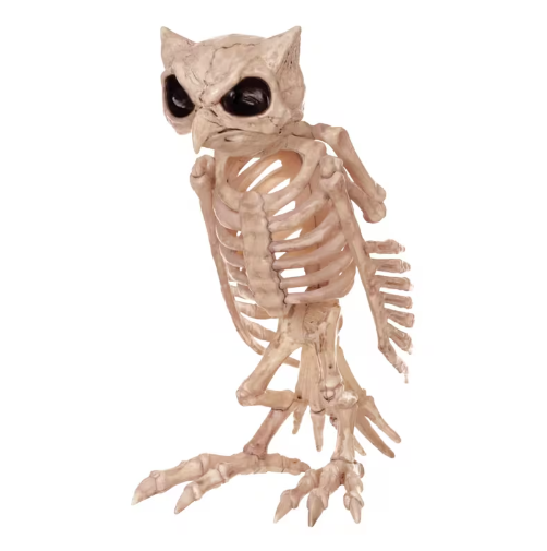 Skeleton Owl Halloween Decoration