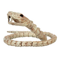 Slithering Snake Plastic Skeleton Halloween Decoration 12 1/4"