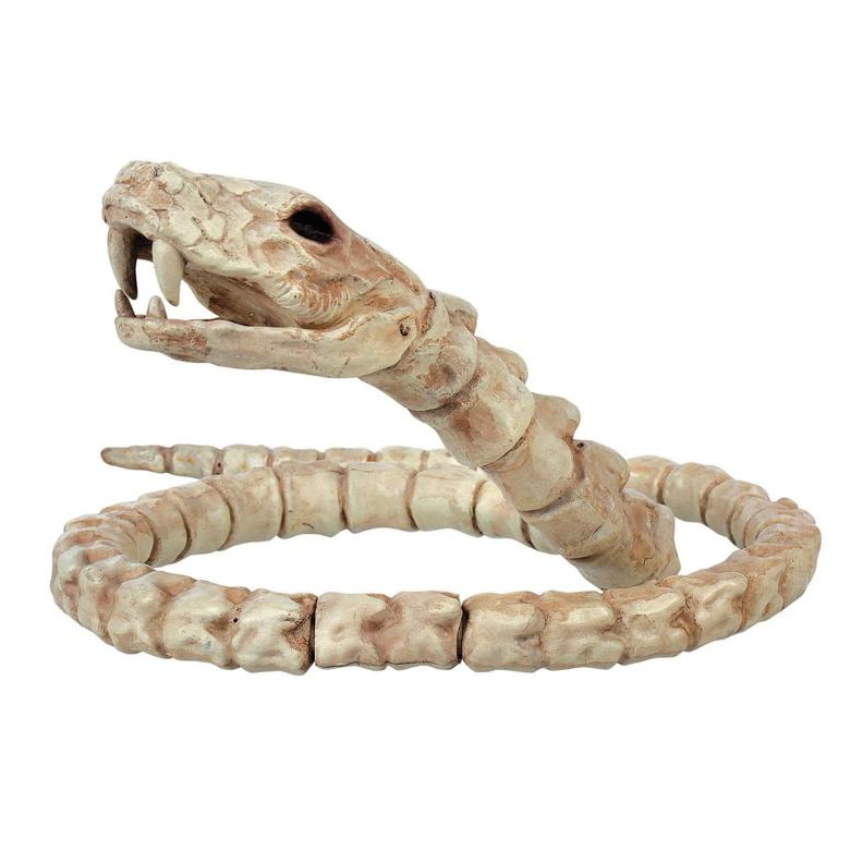 Slithering Snake Plastic Skeleton Halloween Decoration 12 1/4"