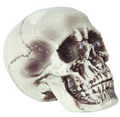7 1/2" Realistic Skull Decoration